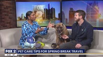Pet care do's and don'ts for Spring Break travel