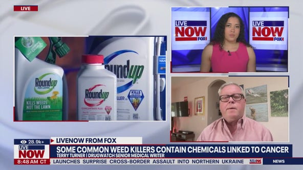 Weed killers contain chemicals linked to cancer