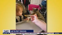Liz's Pet Tricks for Friday, March 24