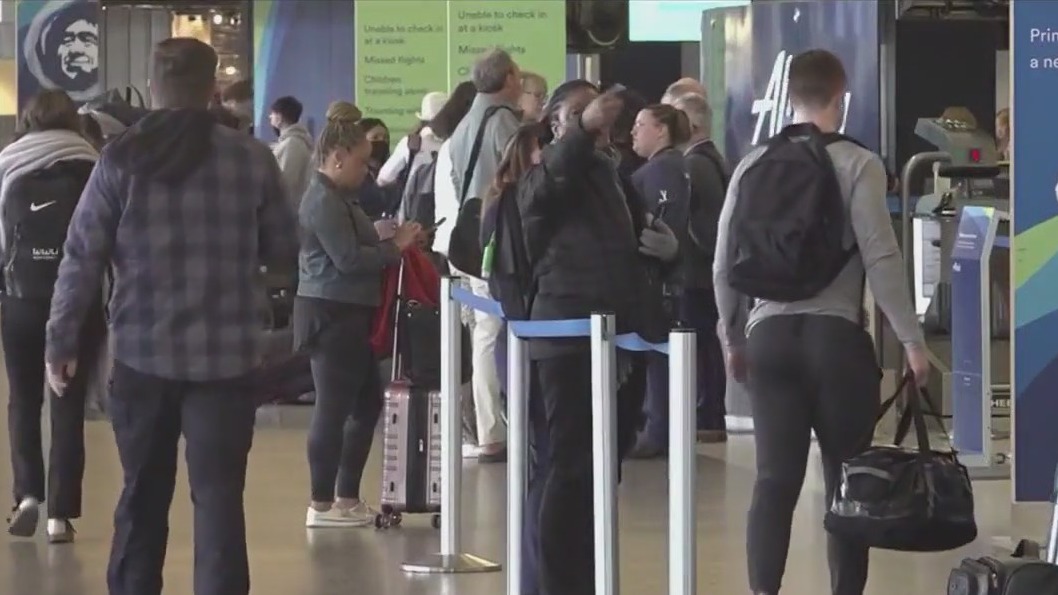 Complaints about air travel nearly quadrupled: report