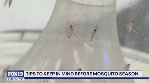 Tips to keep in mind during mosquito season