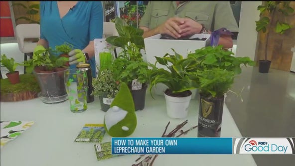 How to make our own leprechaun garden