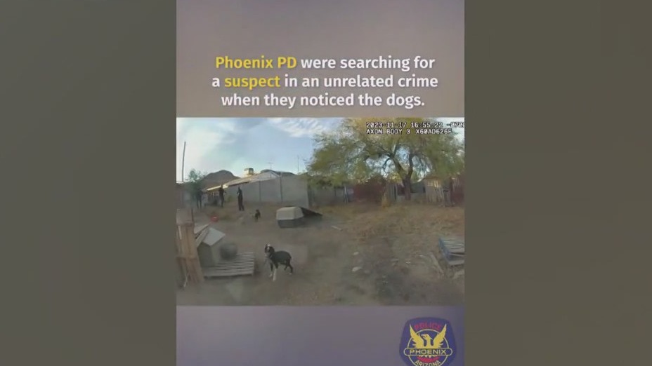 Phoenix brother, sister accused of animal abuse