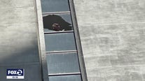 Inspectors issue warning over broken windows at San Francisco high rises