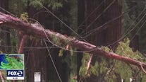 Downed power lines make Santa Cruz County roads treacherous