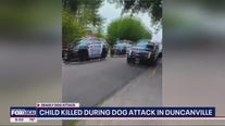 Duncanville 1-year-old killed in dog attack