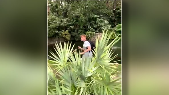Guy jumps into gator enclosure