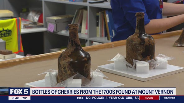 Archeologists begin studying 18th century bottles of cherries discovered at Mt. Vernon estate