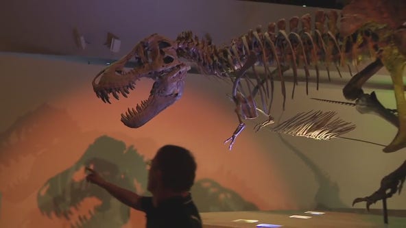 Houston Museum of Natural Science: Tierra's Texas