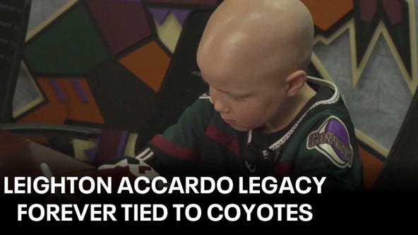 Coyotes fan Leighton Accardo stole Arizona's hearts