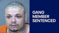 AZ gang member sentenced for ambushing officer