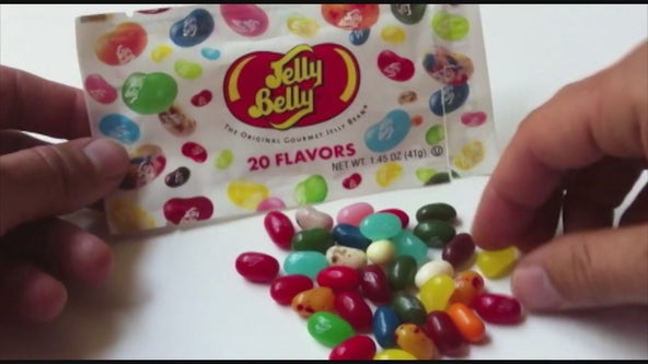 Chief Jelly Belly Bean Officer contest underway