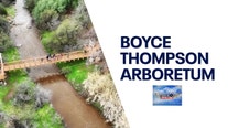 Boyce Thompson Arboretum | Drone Zone