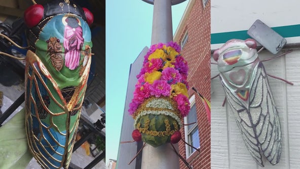 Cicada sculptures swarm Chicago area as artistic tribute to emergent insects