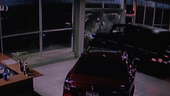 Car thieves hit East Bay dealership and 1 suspect returns for more