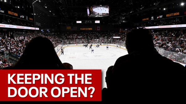 Former sports exec weighs in on Coyotes' move