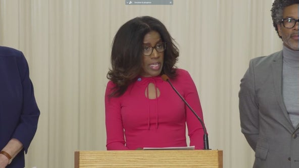 Cook County commissioners address maternal health crisis