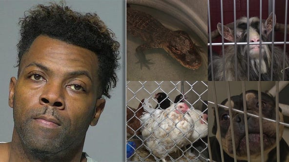 Animals seized from home, man sentenced