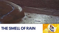 Did You Know?: Discussing the smell of rain
