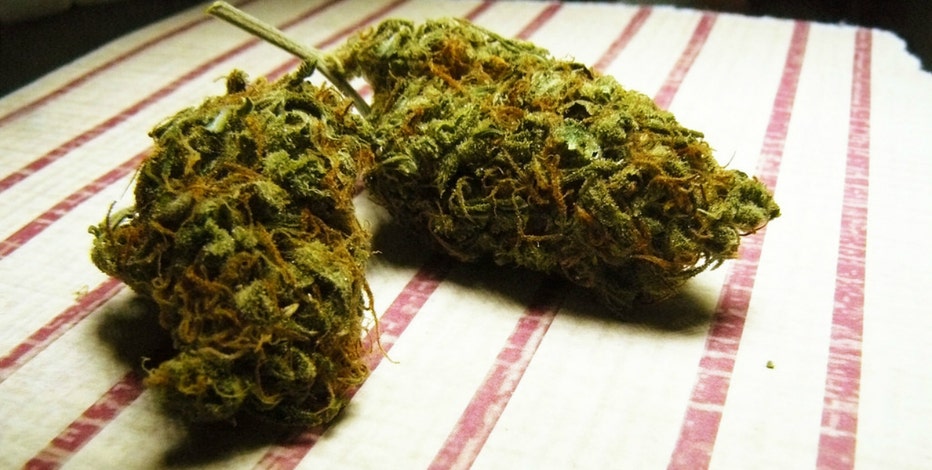 Group submits ballot initiative to legalize marijuana in Arizona