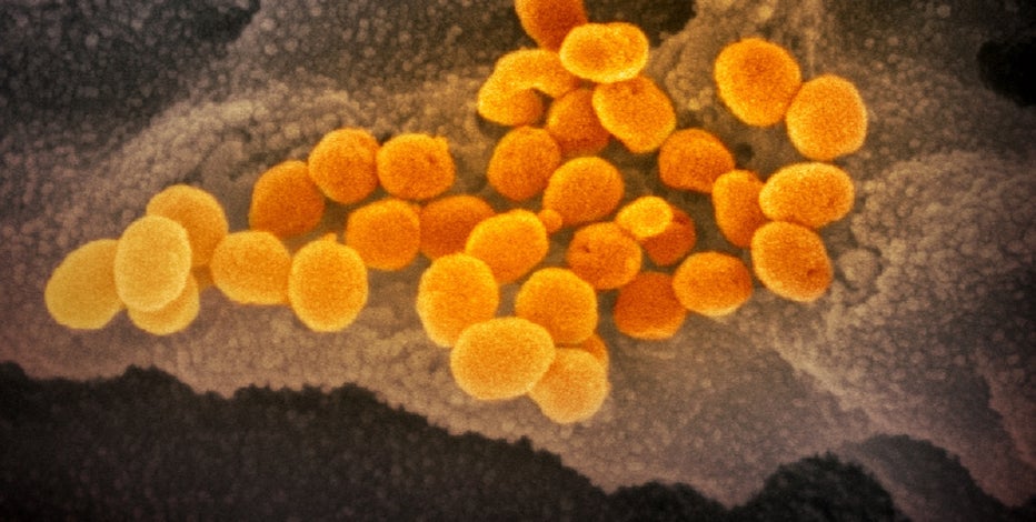 Arizona reports 604 new coronavirus cases but no new deaths
