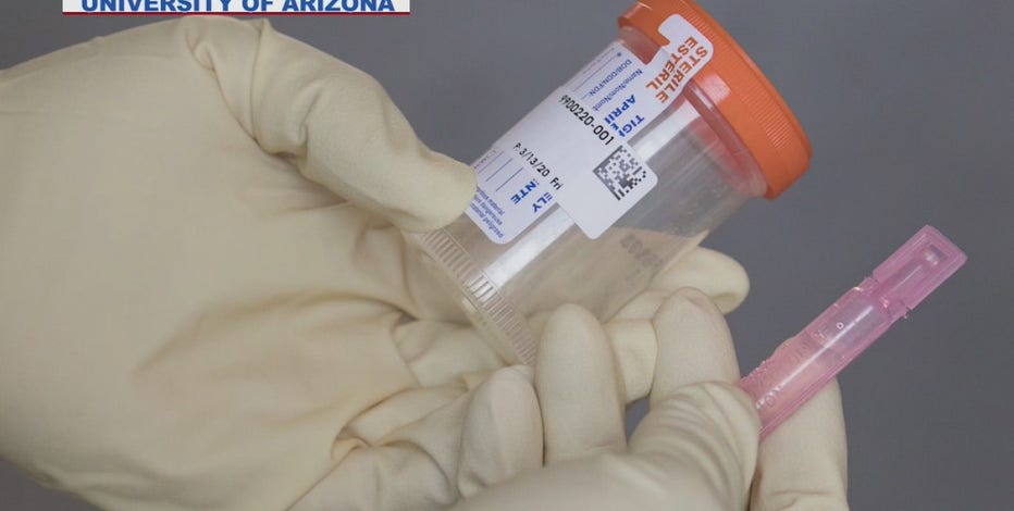 UArizona scientists came up with alternative to nasal swab test for COVID-19