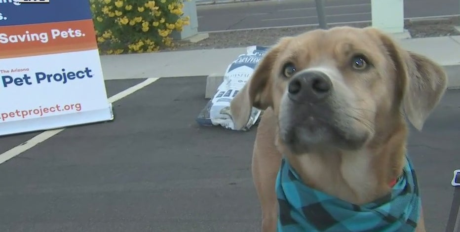 Drive-thru pet food pantry held at State Farm Stadium