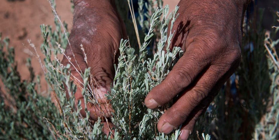 Tribes try to shield elders and their knowledge from virus