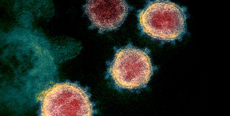 COVID-19: Arizona medical expert speaks out on what people can expect from the virus this winter