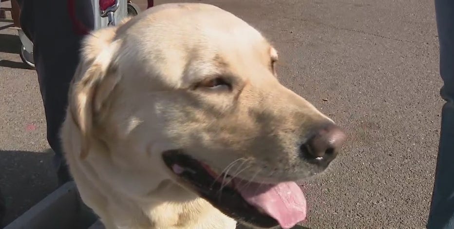 Phoenix arson dog team completes annual certification