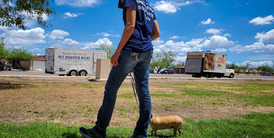 Animals impacted by Gila Bend flooding being cared for by Arizona Humane Society