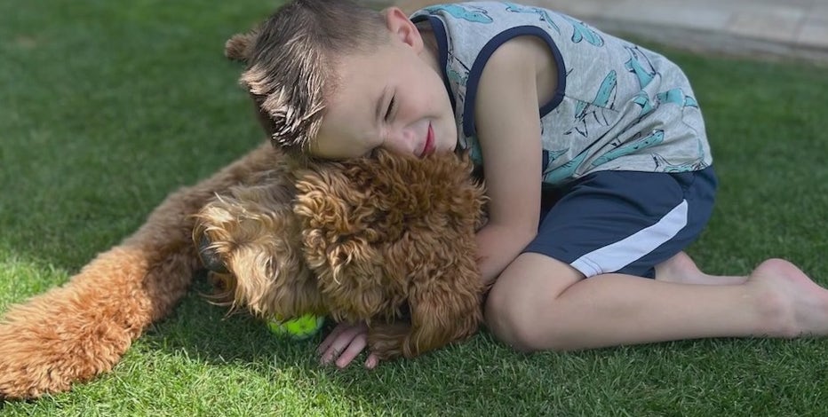 'It gives us hope:' Autistic Arizona boy gifted with support dog
