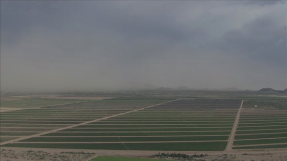 Parts of Arizona experiencing blowing dust as 4th of July weekend begins: Live radar, updates
