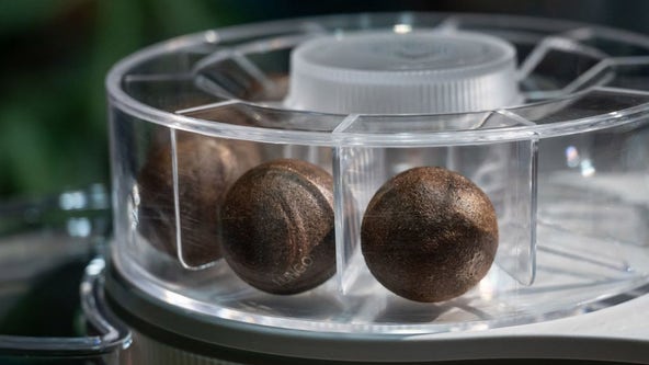 Swiss retailer rolls out 'coffee balls' to replace plastic capsules