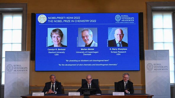 Nobel Prize in chemistry awarded to trio for 'snapping molecules together'