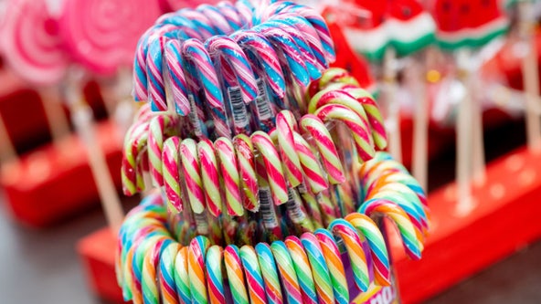 Candy cane controversy: Study says most common way to eat holiday treat