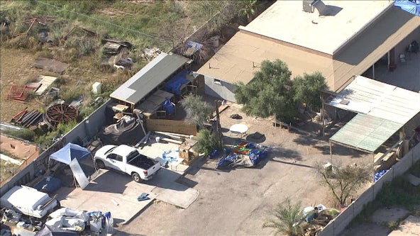 DEA raids Phoenix home and finds cockfighting ring with more than 100 roosters, agency says