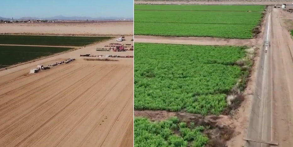 Coolidge Dam records highest water level in 5 years, a relief for Arizona farmers