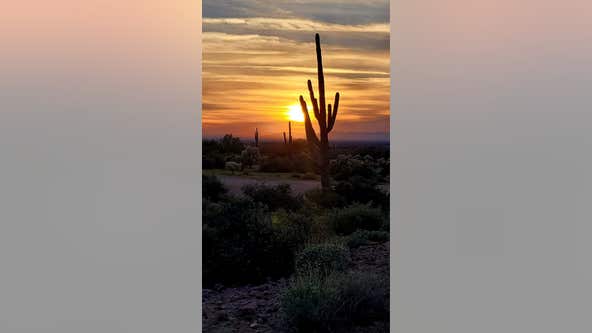 Arizona Photo of the Day - January 2023