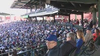 MLB fans enjoy this year's first weekend of Cactus League spring training