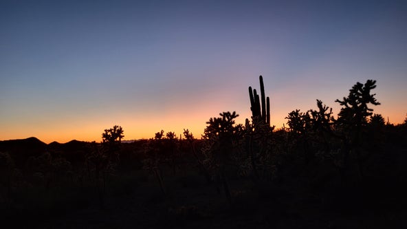 Arizona Photo of the Day - February 2023