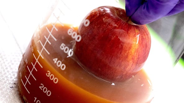 Scientists create protective coating for fruit and veggies to make them last longer