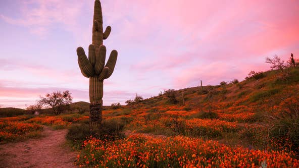 Arizona Photo of the Day - March 2023