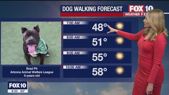 Arizona weather forecast: Calmer days ahead in the state
