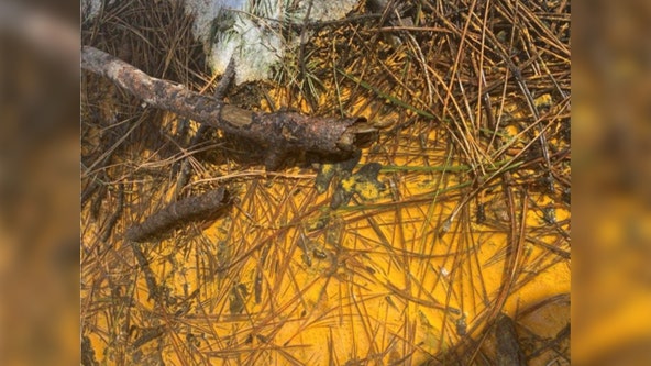 Stay away from orange liquid and soil in northern Arizona, ADEQ officials say
