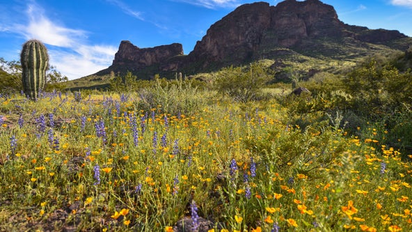 Arizona Photo of the Day - March 2023