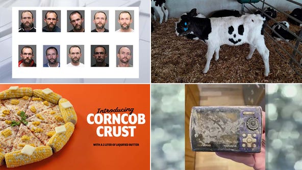 Man arrested 10 times in 31 days, Little Caesars corncob crust: This week's top offbeat headlines