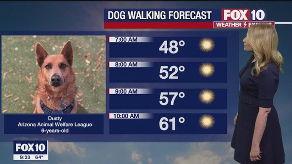 Arizona weather forecast: Calmer days in the state, but more stormy weather to come