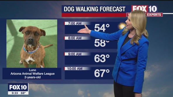 Arizona weather forecast: Sunny skies return to the state