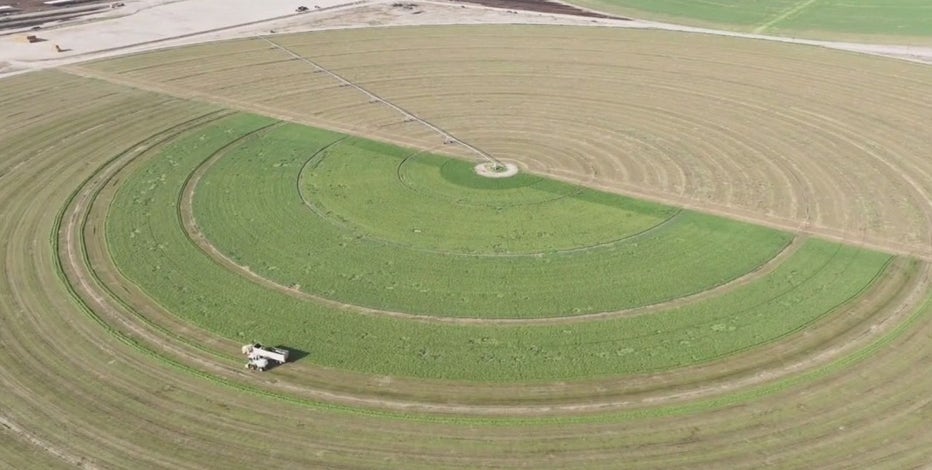 Saudi-owned farm's water use in Arizona under scrutiny